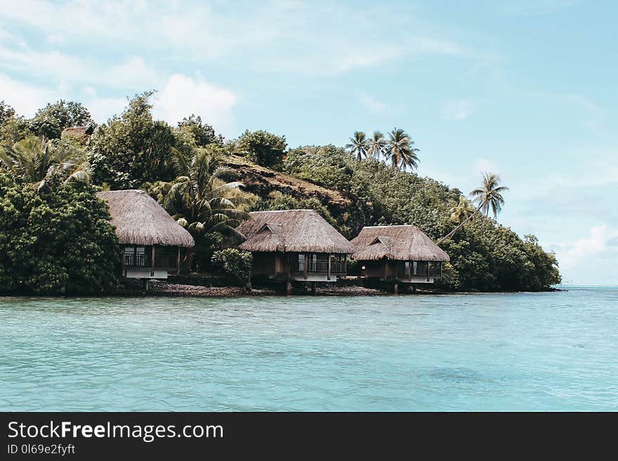 Cottage Near Sea Shore