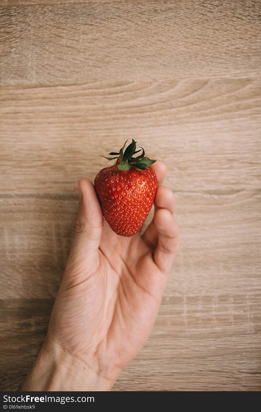 Red Strawberry Fruit