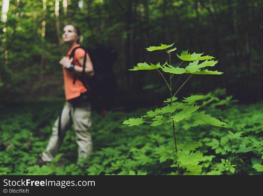 Girl tourist with a backpack traveling in the forest