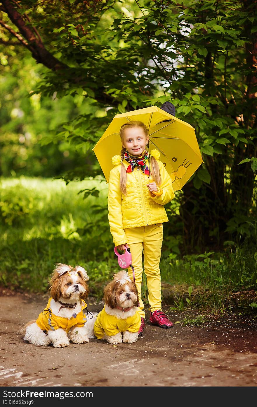 Sweet girl in the yellow jacket under an umbrella with dogs walking in the park