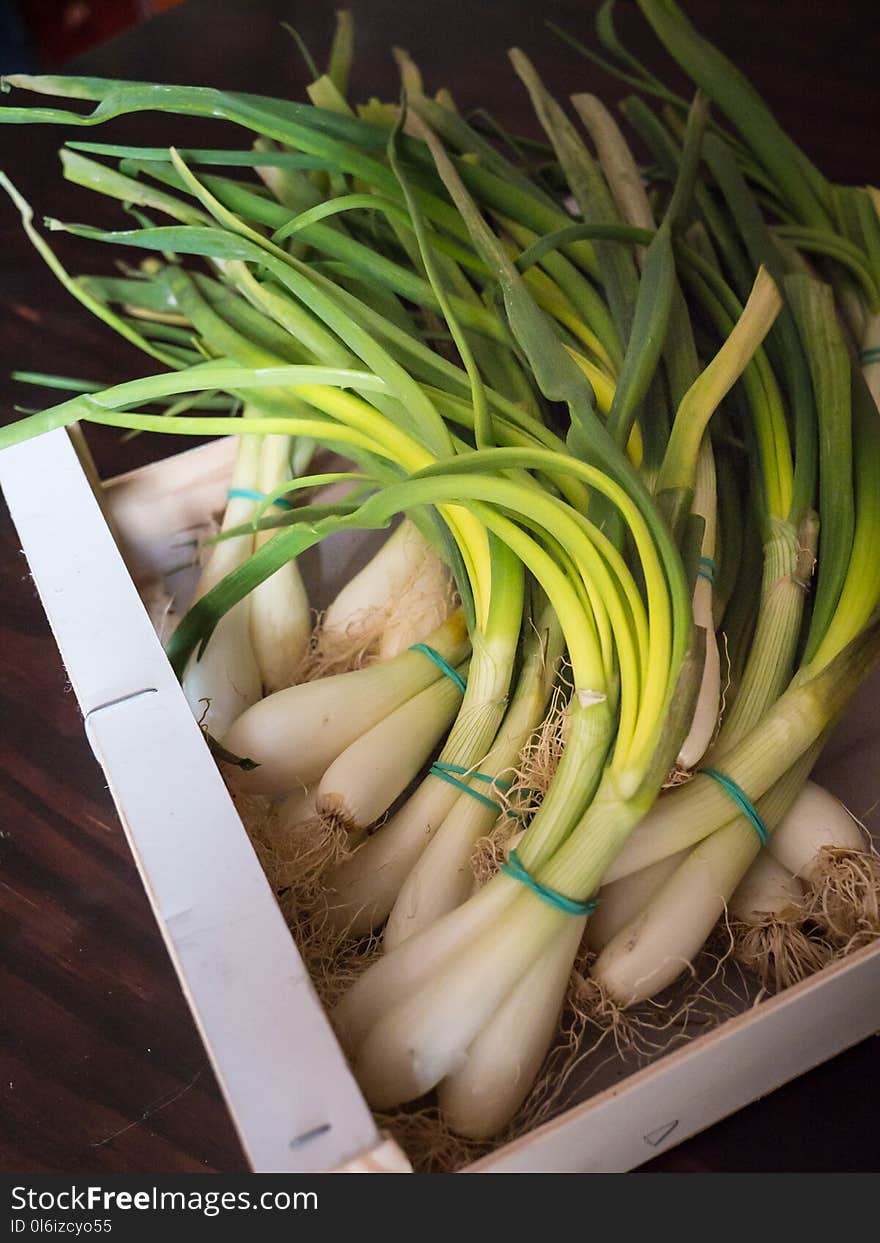 Top view of a box of bundles of freshly harvested whole spring onions. Top view of a box of bundles of freshly harvested whole spring onions