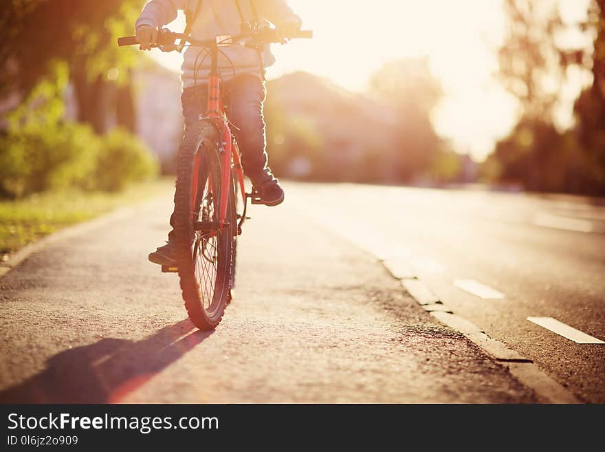 Child on a bicycle at asphalt road in early morning. Boy on bike in the city