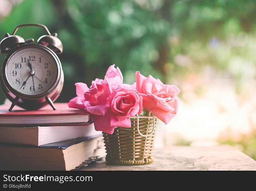 Pink roses bouquet ,clock and book on wooden table over nature green garden in vintage tone background