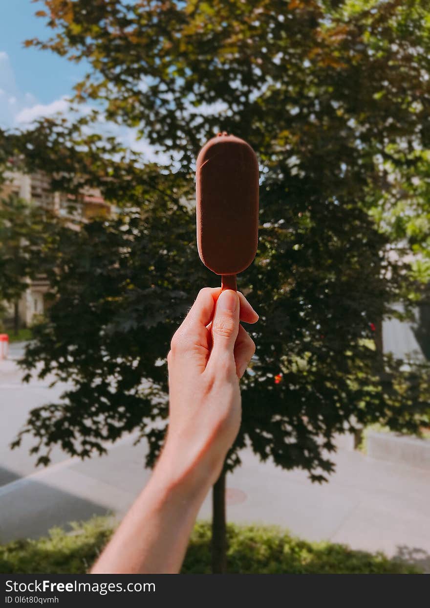 Person Holding Chocolate Popsicle