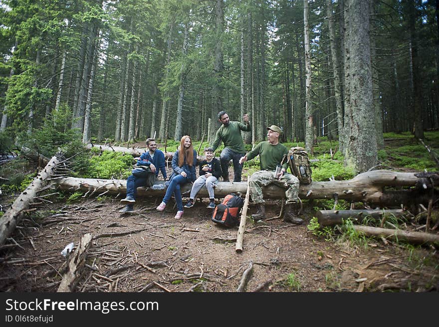 Three Men and Woman Sitting on Brown Trunk Photo