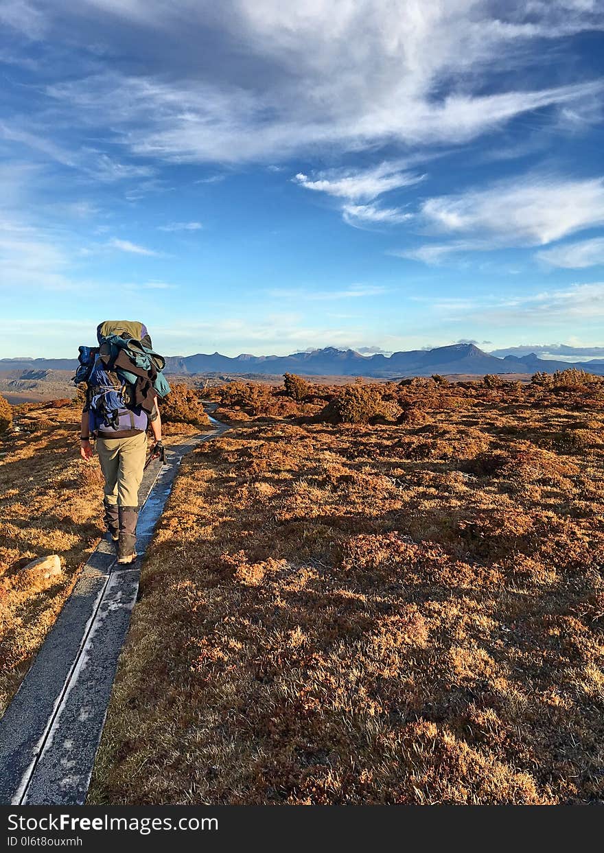 Photo of Man Walking