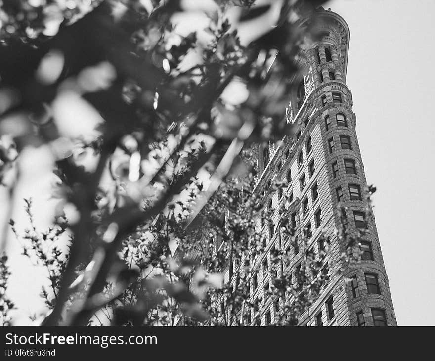 Worm&#x27;s Eyeview of High Rise Building