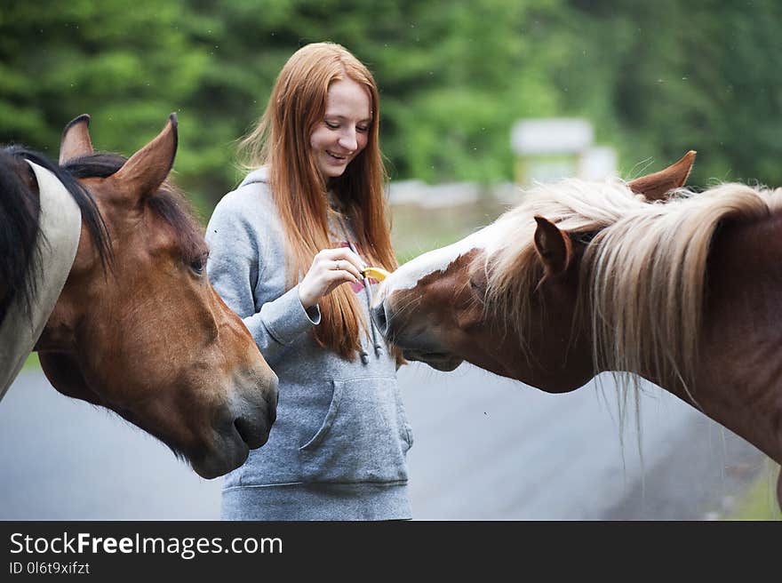 Close-Up Photography of Woman Near Horses