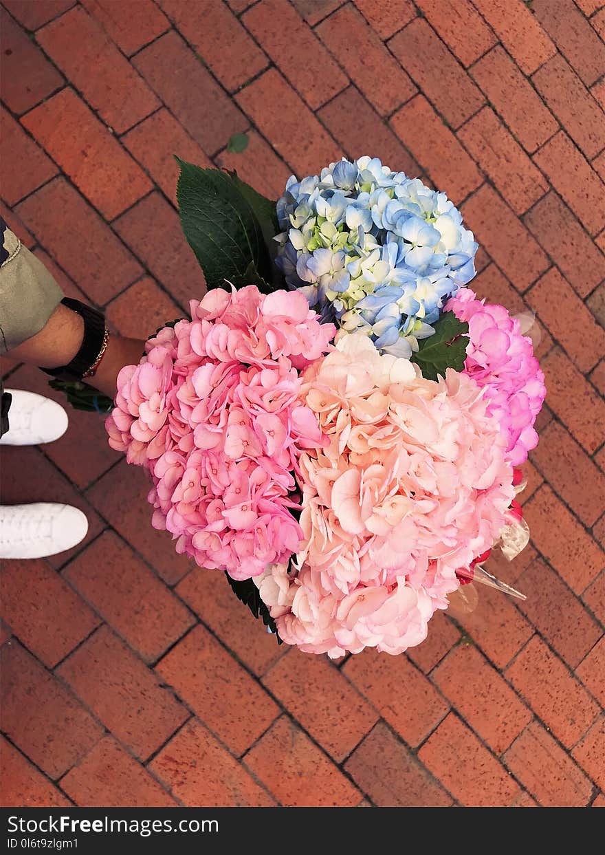 Assorted-color Flower Bouquets on Ground