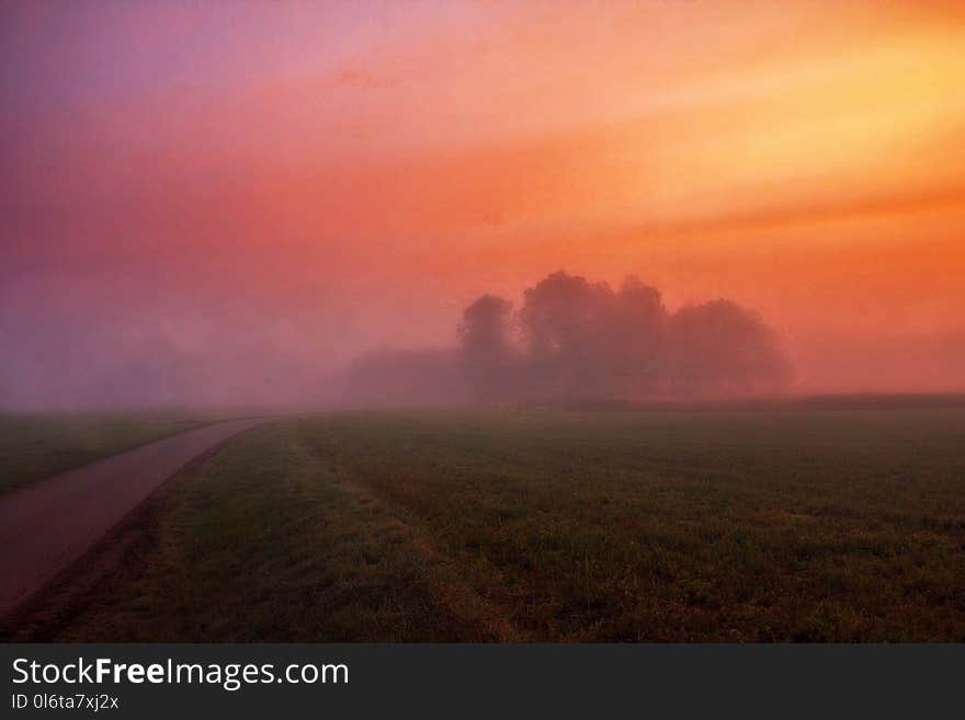 Grey Concrete Road Surrounded by Green Field and Fog