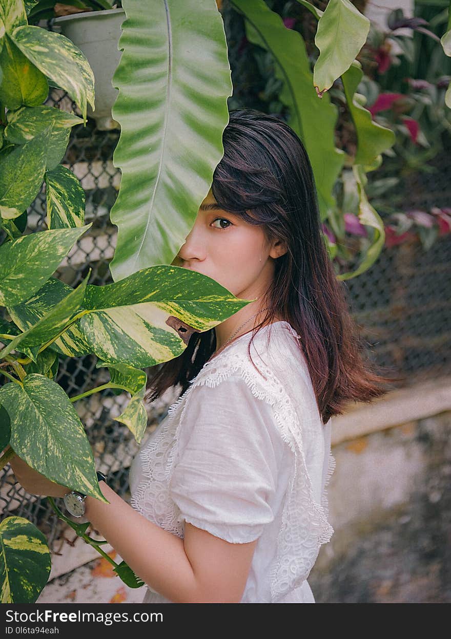 Photo of Woman Near Plants