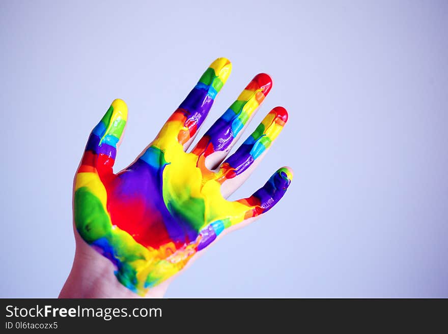 Person&#x27;s Hand With Paints