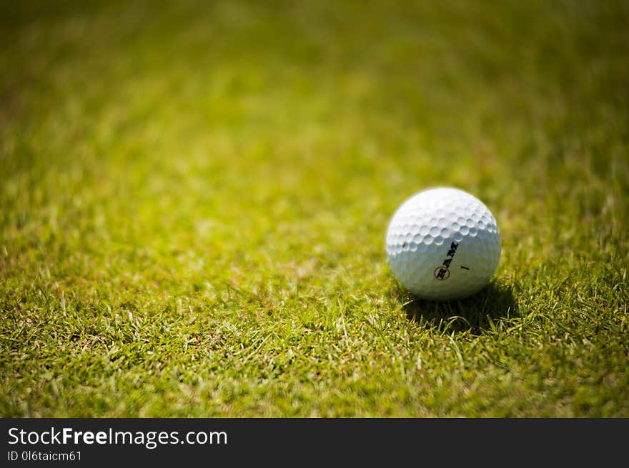 White Golf Ball on Green Grass