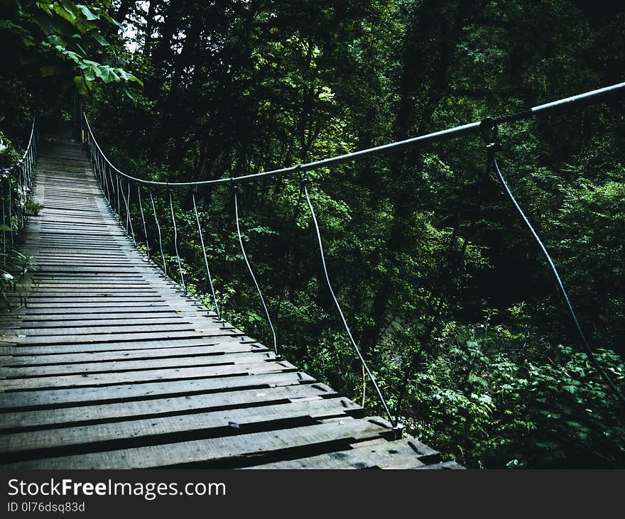 Brown Hanging Bridge