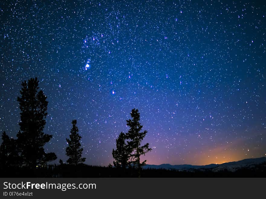 Silhouette of Trees and Mountain Under Blue Starry Sky