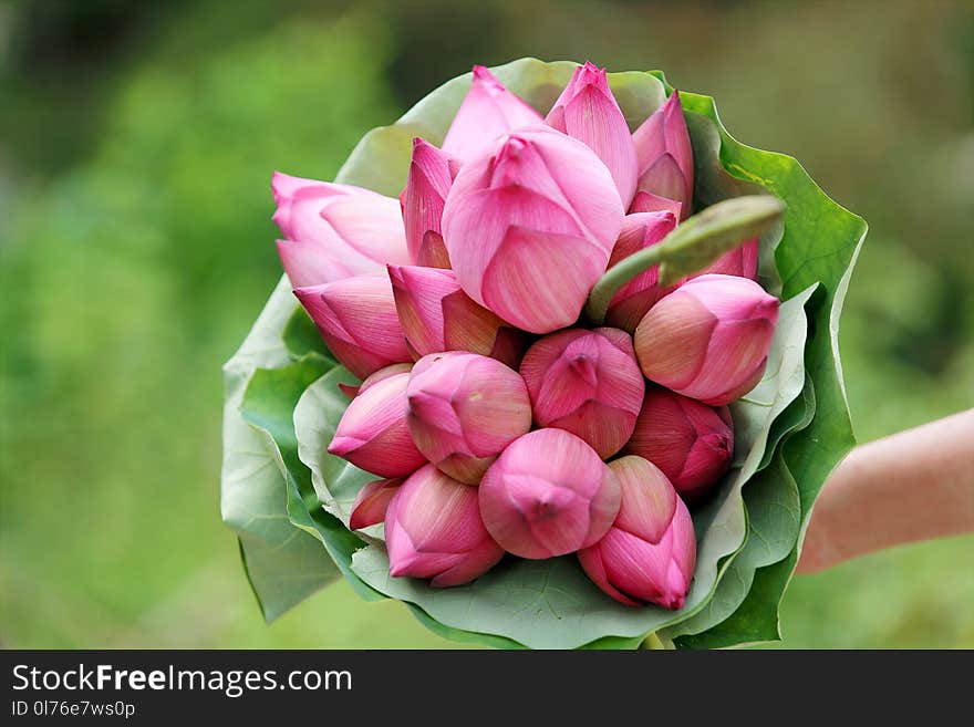 Pink Petaled Flower Bouquet