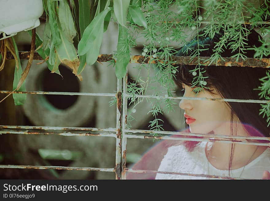 Woman Wearing White Top Watches in the Window