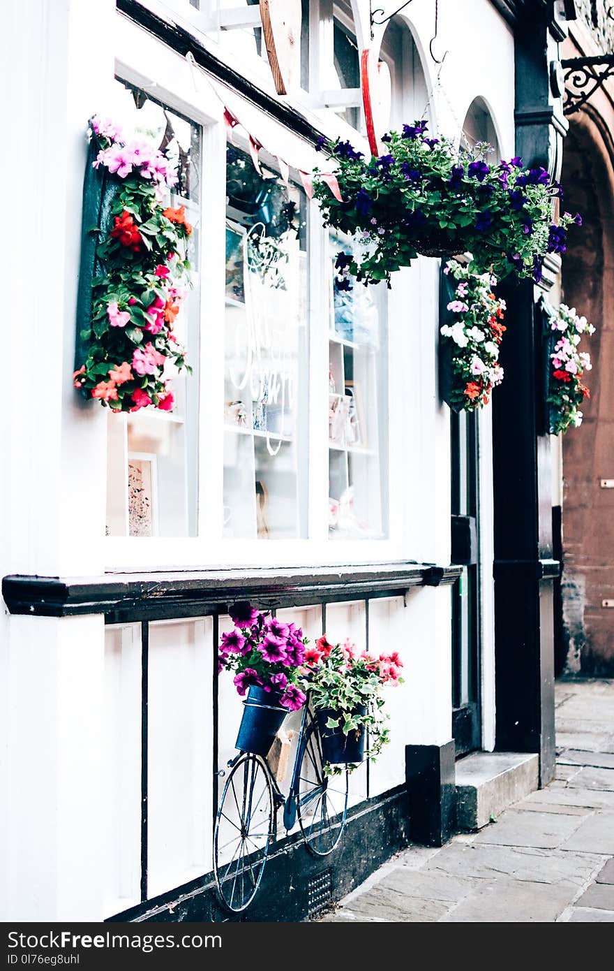 Bicycle Parked Beside Railings Under a Window