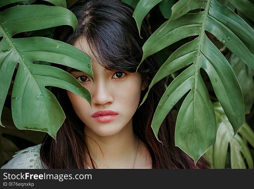 Woman Standing Between Green Leafed Plant