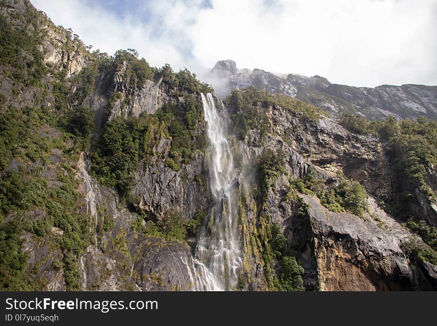 Waterfall Surrounded by Trees