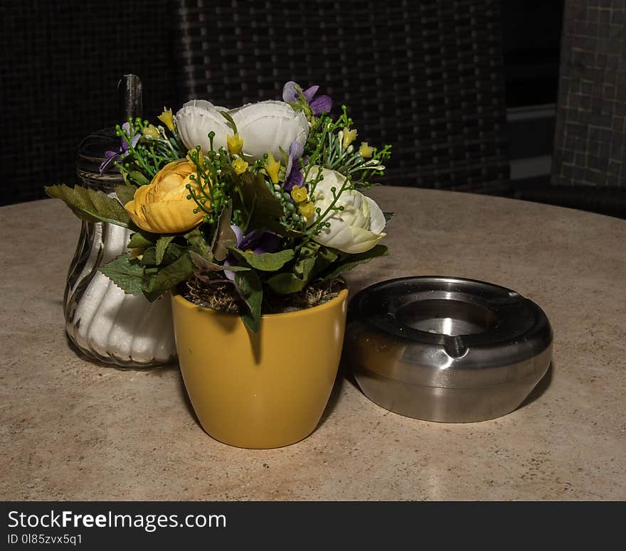 Flower, Vase, Plant, Flowerpot