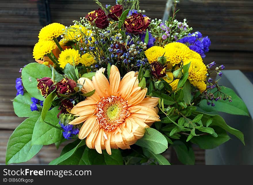 Flower, Yellow, Floristry, Flower Bouquet