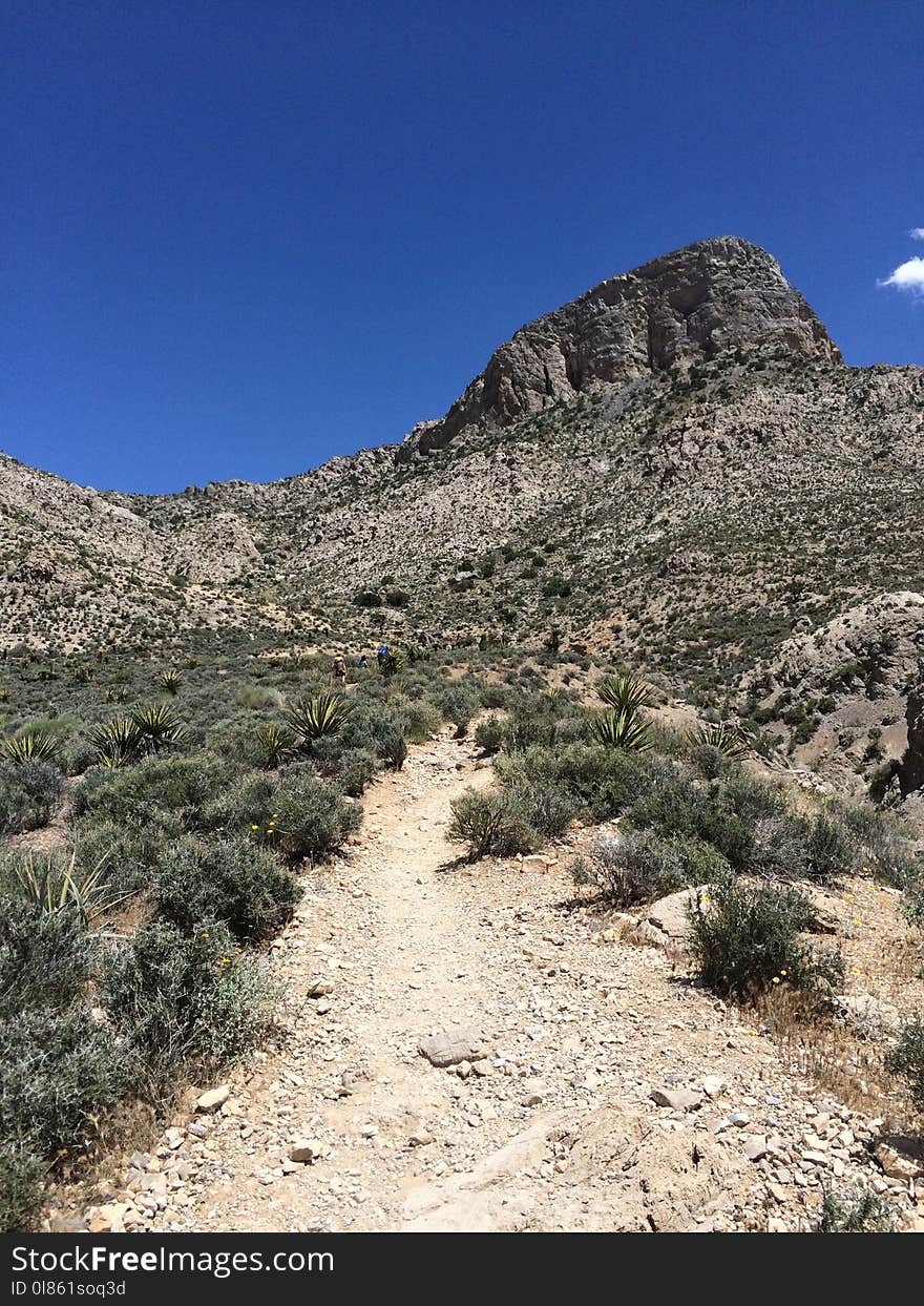 Chaparral, Vegetation, Wilderness, Shrubland