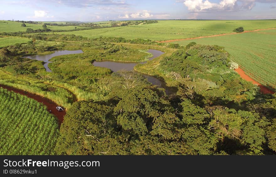 Nature Reserve, Vegetation, Grassland, Water Resources