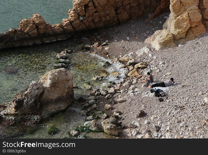 Fauna, Water, Rock