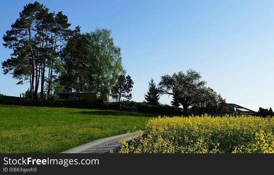 Sky, Nature, Field, Grassland