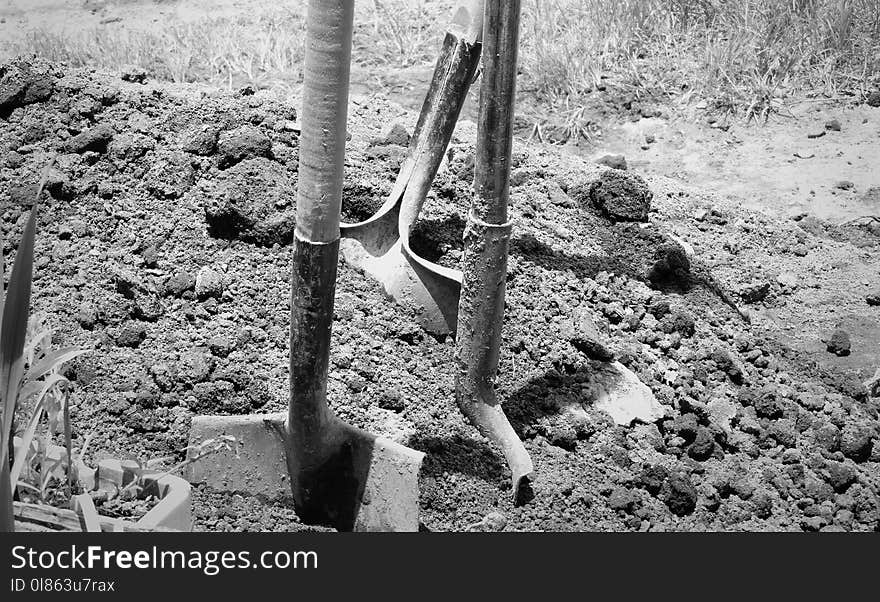 Black And White, Soil, Monochrome Photography, Tree