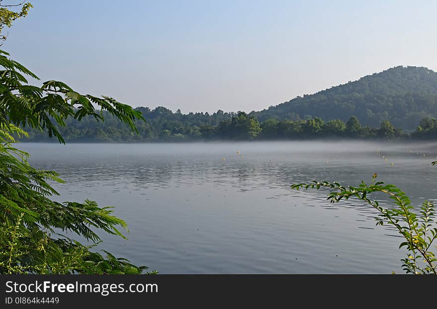 Water Resources, Nature, Water, Vegetation