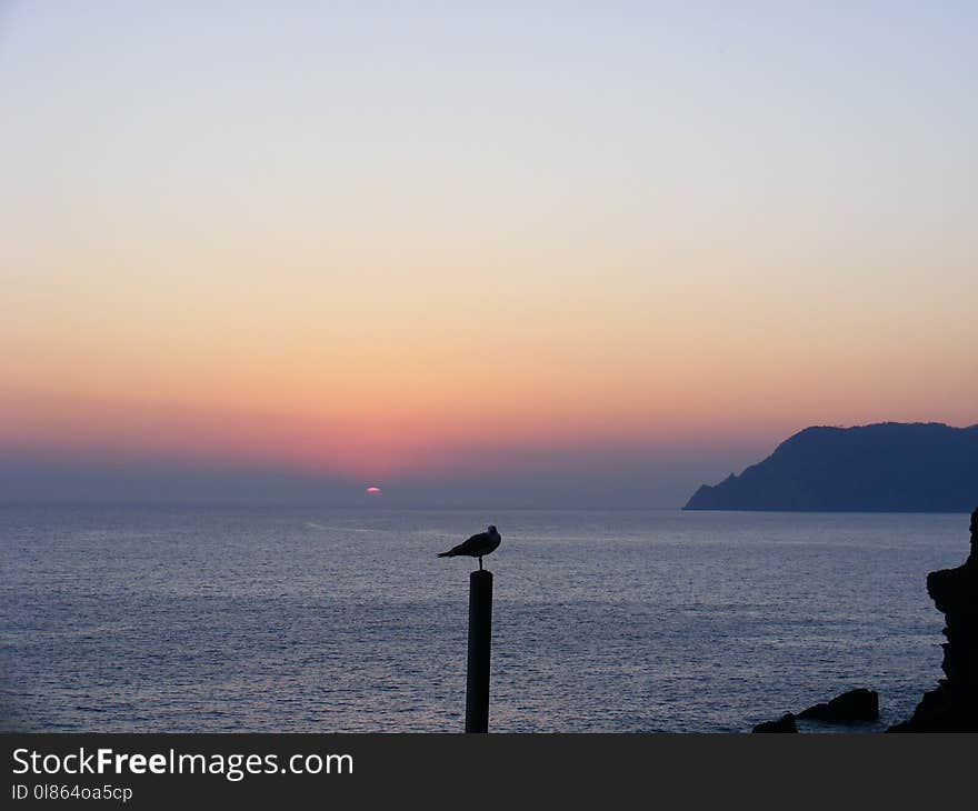 Sea, Horizon, Sky, Calm