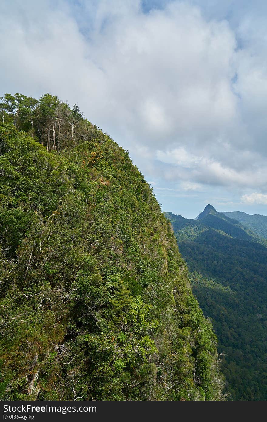 Vegetation, Mountainous Landforms, Mountain, Nature