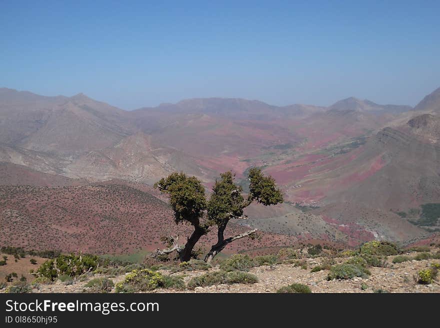 Chaparral, Sky, Vegetation, Wilderness