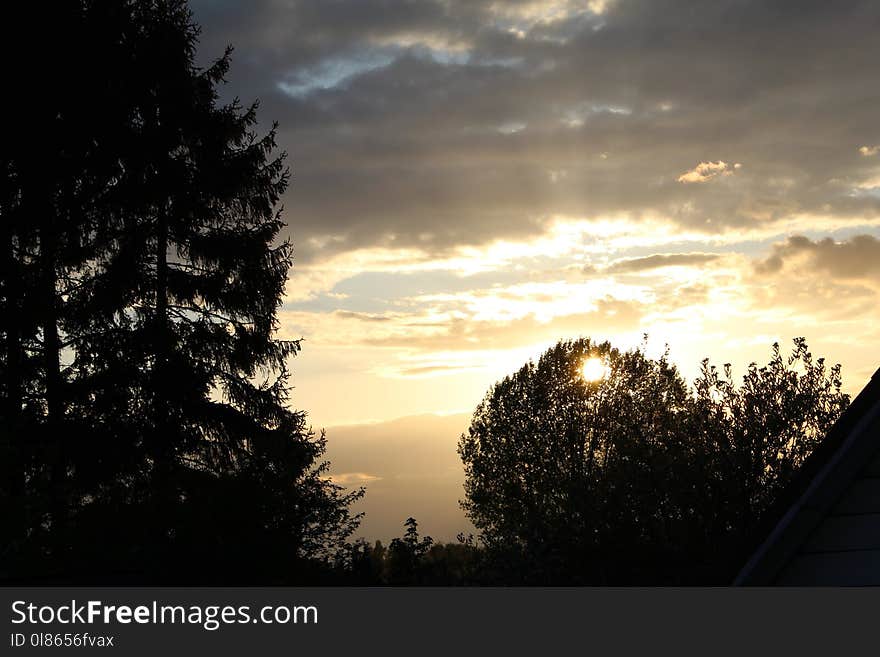 Sky, Cloud, Nature, Tree