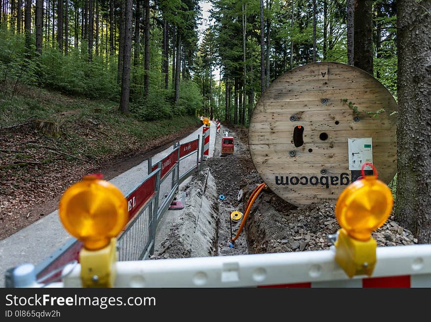 Tree, Geological Phenomenon, Vehicle, Recreation