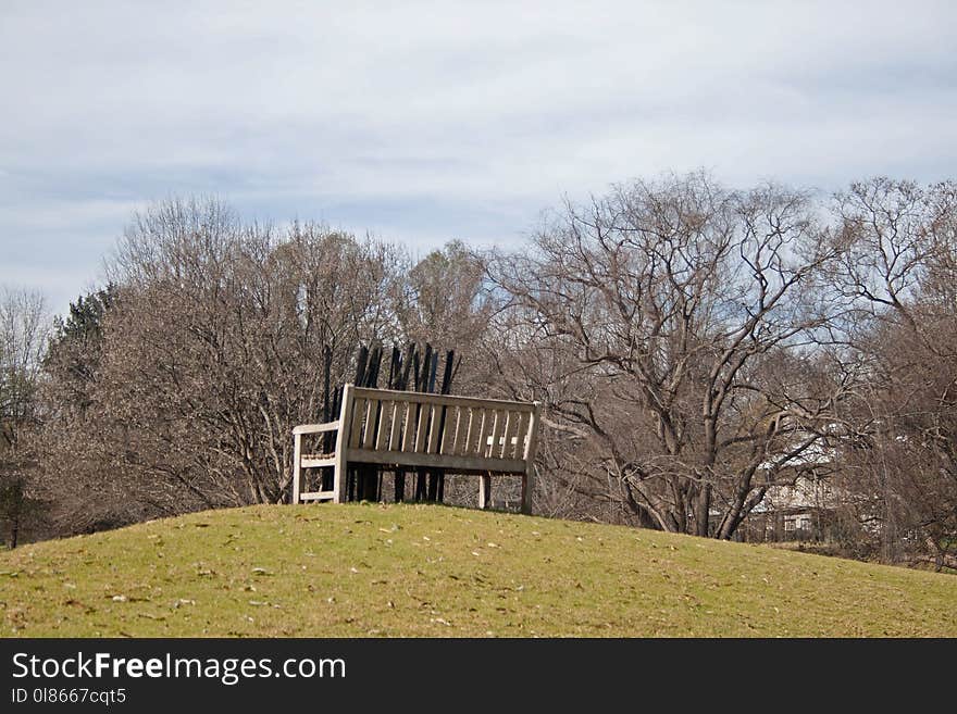 Property, Tree, Plant, House