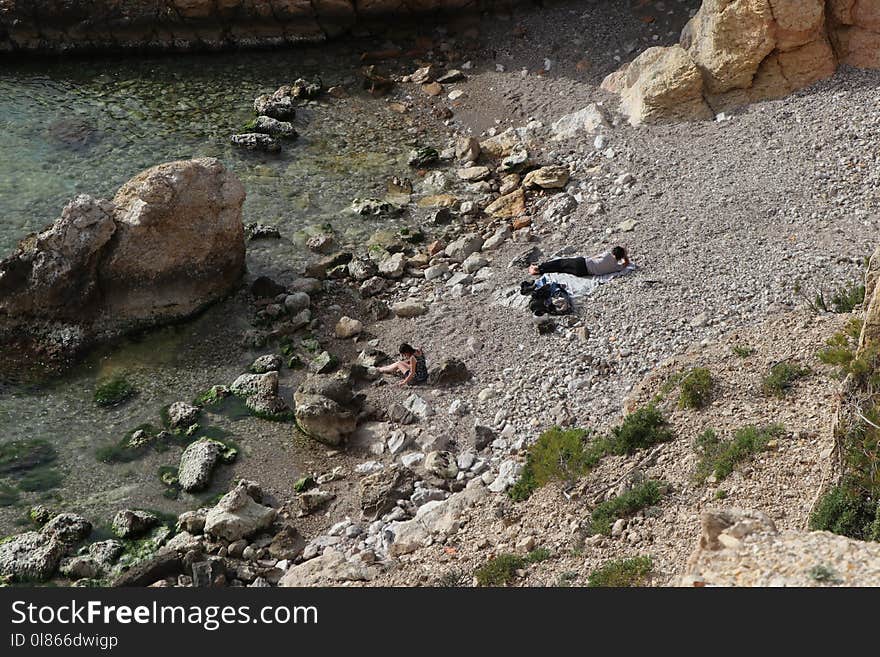 Fauna, Rock, Geology, Landscape