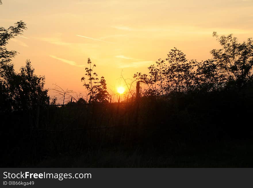 Sky, Sunrise, Sun, Sunset