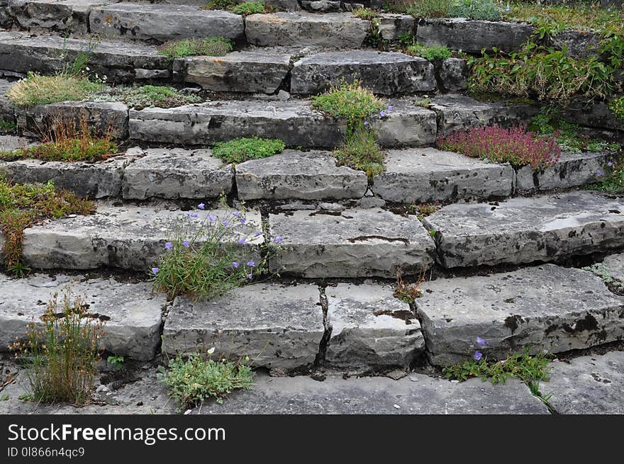 Wall, Stone Wall, Rock, Grass