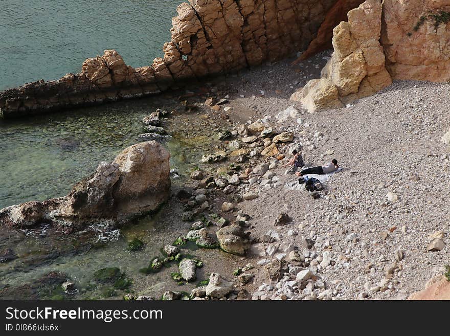 Fauna, Rock, Coast, Boulder