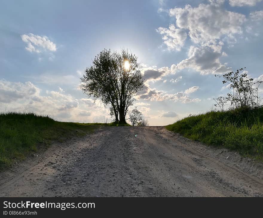 Road, Sky, Cloud, Tree