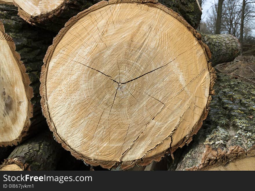 Wood, Tree, Trunk, Lumber