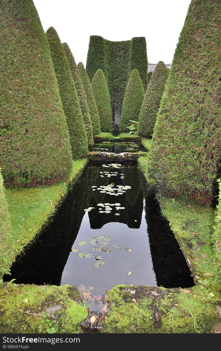 Reflection, Green, Nature, Water