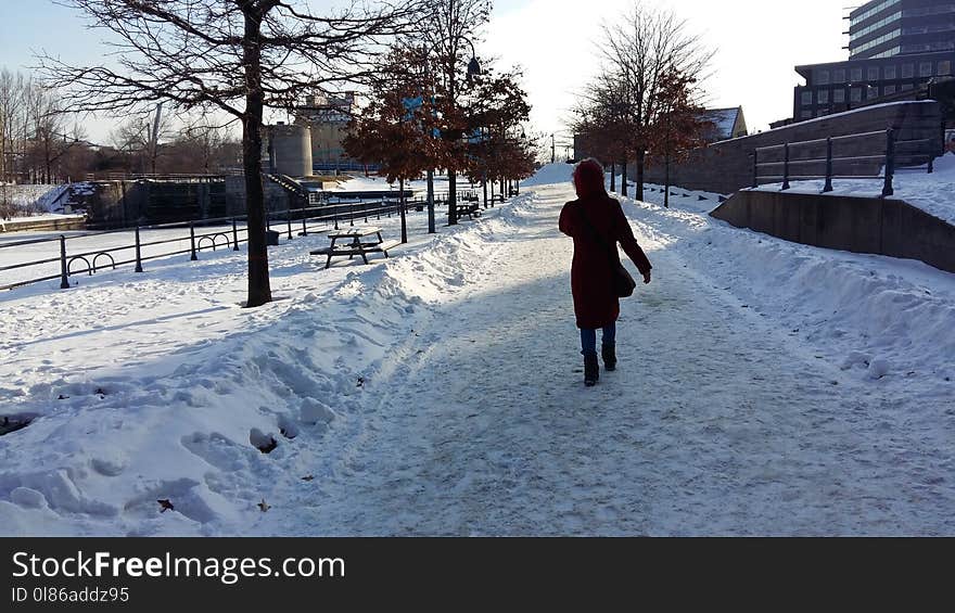 Snow, Winter, Freezing, Urban Area