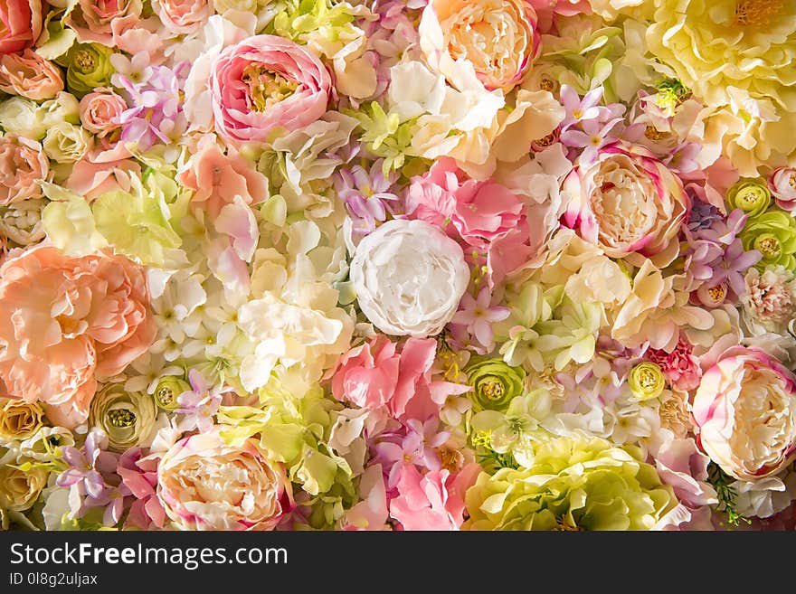 Close-up View Of Beautiful Floral Background With Tender Elegant Flowers