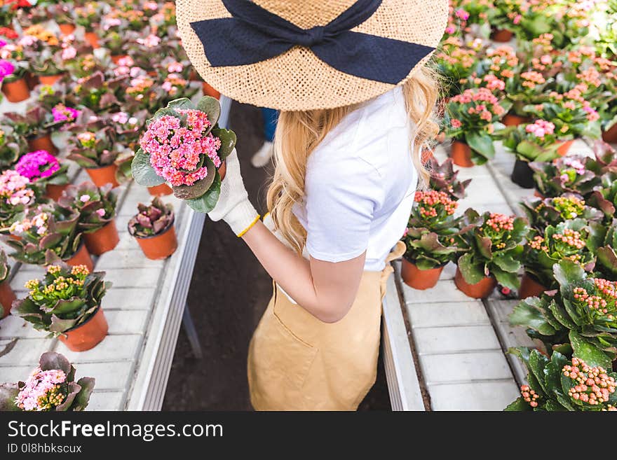 Close-up view of purple flowers in hand of female gardener