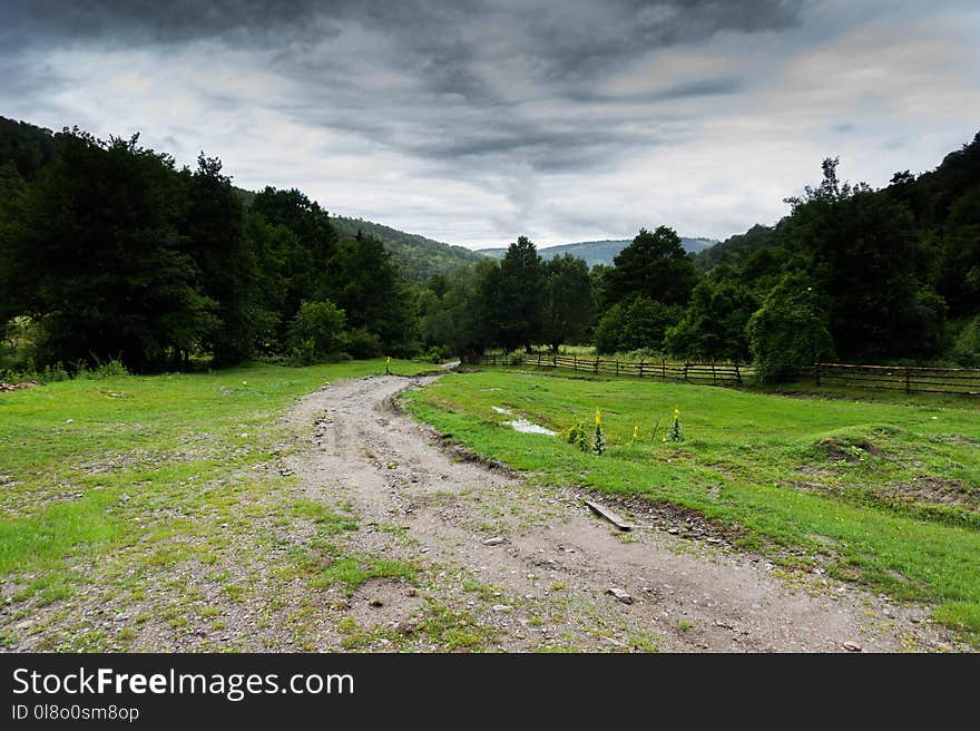 Rural Area