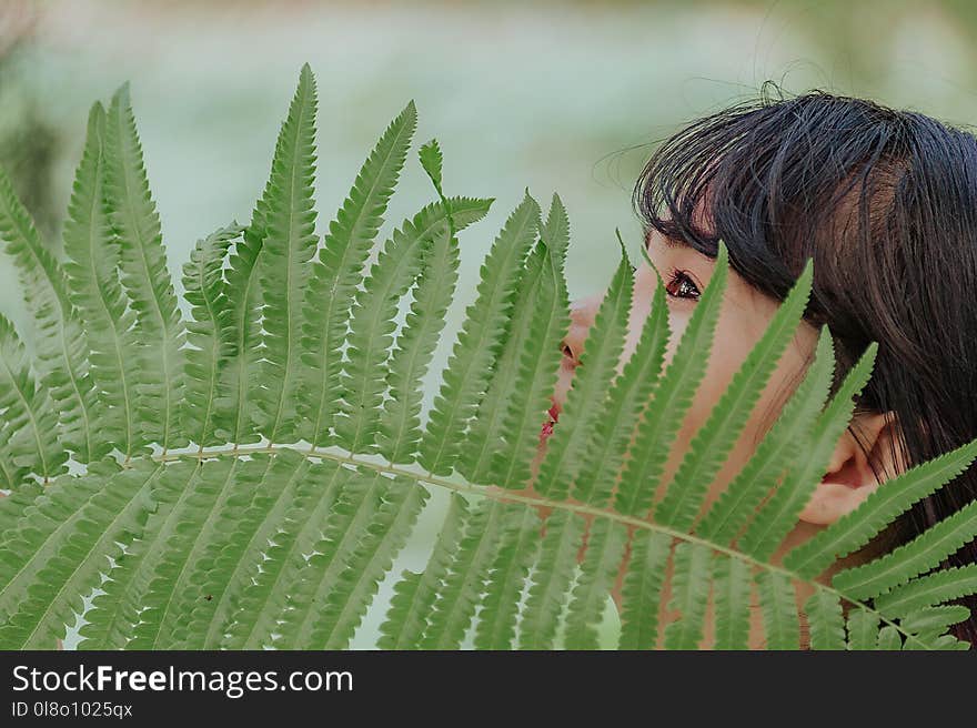 Green Leaf In Front Of Woman